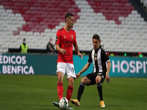 Nhận định tỷ lệ CD Nacional vs Benfica (00h00 ngày 12/5)